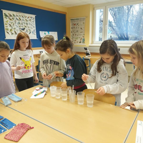 Schnuppern in der MS Fehring