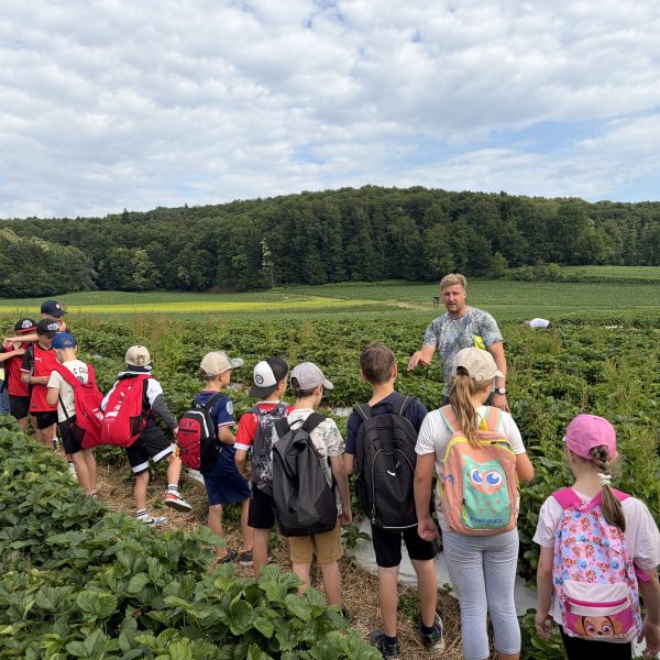 Wandertag zum Erdbeerfeld